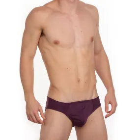 Undergear Contour French Brief - Purple